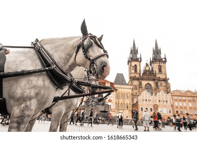 Carts with horses in the square of the old town of Prague. Prague / Czechia - 05.21.2019