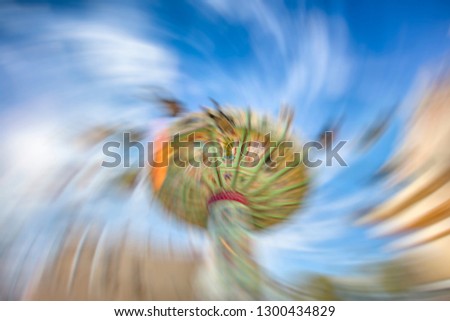 carusell  in the movement  