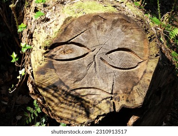 A carved face in a sawn wooden tree trunk covered with moss