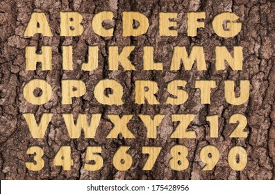Carved Oak wood alphabet