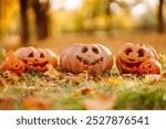 Carved pumpkins with cheerful faces surrounded by autumn leaves. Preparing for the holiday. Holidays, decoration concept