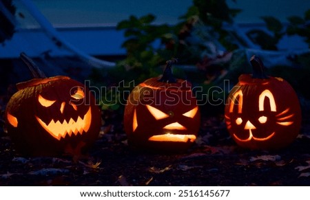 Carved pumpkins with different faces, displayed on the ground surrounded by leaves and greenery, creating a festive Halloween decoration scene.