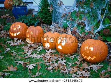 Carved pumpkins with different faces, displayed on the ground surrounded by leaves and greenery, creating a festive Halloween decoration scene.