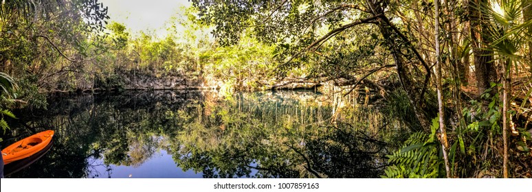 The Carwash Cenote, Tulum, Mexico. This Beautiful Water Filled Sink Hole Is Great For Snorkelling And Diving.