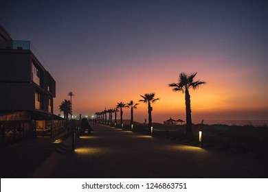 Casablanca Evening Beach, Palm Valley