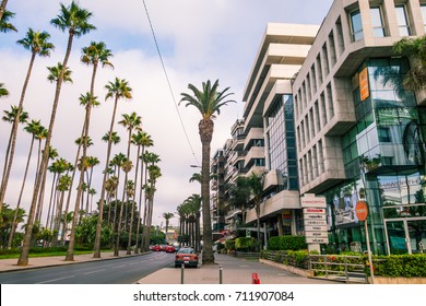 Casablanca, Morocco - September 3, 2017 :  low angle view of modern buildings and palm trees