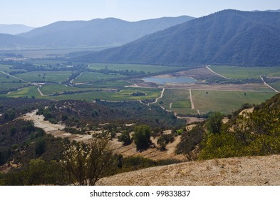 Casablanca Valley In Chile