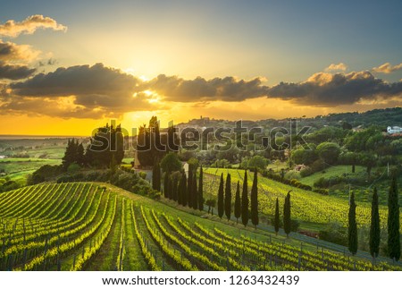 Casale Marittimo village, vineyards and countryside landscape in Maremma. Pisa Tuscany, Italy Europe.