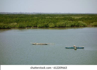 Casamance River, Senegal