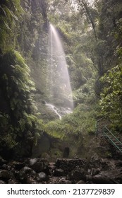 Cascada de los Tilos, se encuentra en el interior del bosque del mismo nombre en la Isla de la Palma