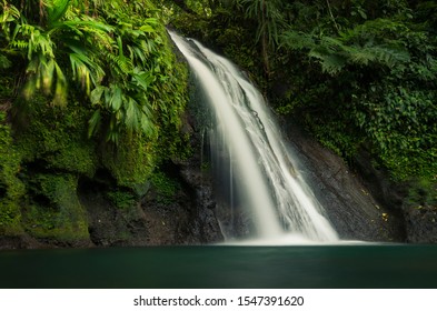 Cascade Aux Écrevisses In Guadaloupe Island.