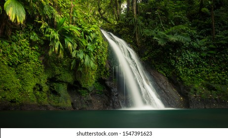 Cascade Aux Écrevisses In Guadaloupe Island.