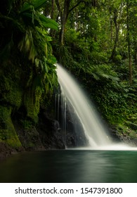 Cascade Aux Écrevisses In Guadaloupe Island.