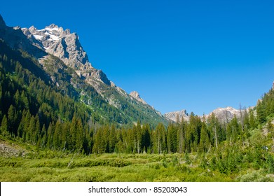 Cascade Canyon