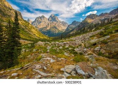 Cascade Canyon In Grandt Teton National Park