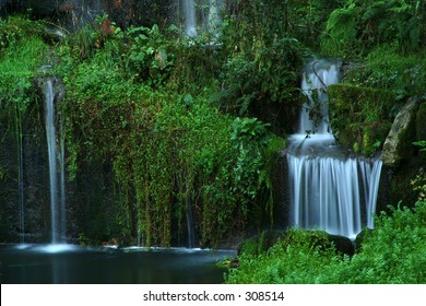 Cascade in forest