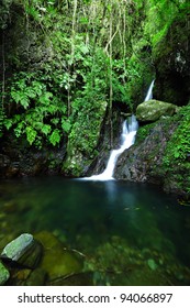 cascade in forest