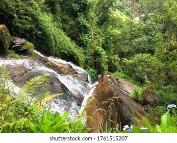 Cascade Water Running Through Rocks