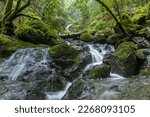 Cascade waterfalls at Cataract Falls. Mount Tamalpais State Park, Marin County, California, USA.