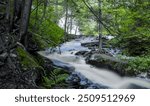 Cascade of waterfalls in scenic Ricketts Glen state park, Pennsylvania in summer time.