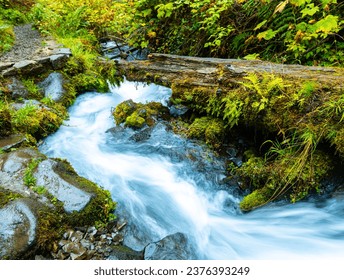 Cascades In The Forest on Wahkeena Creek, Columbia River Gorge, Oregon, USA