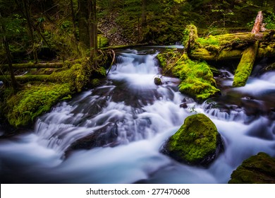 Cascades on Panther Creek, in Gifford Pinchot National Forest, Washington. - Shutterstock ID 277470608