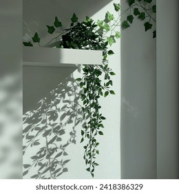 A cascading symphony of green, a hanging plant drapes gracefully, suspended in midair. Its tendrils create an organic masterpiece, bringing nature's tranquility indoors with elegance.