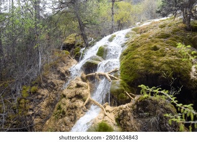 Cascading waterfall flows over moss-covered mineral rocks with petrified branch formations in spring forest setting.