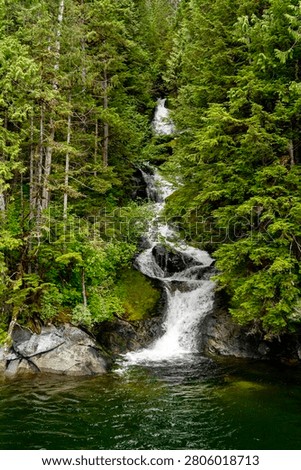 A cascading waterfall flows through a lush evergreen forest in Misty Fjords National Monument near Ketchikan, Alaska. The pristine landscape showcases the rugged natural beauty of Southeast Alaska.