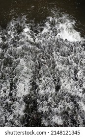 Cascading White Water On River Weir