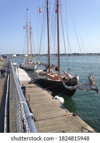 Casco Bay Portland Maine Schooner