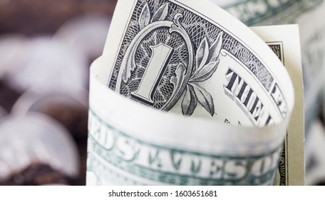 cash American banknotes - dollars lie in paper disposable pots for seedlings, close-up agriculture, concept photo