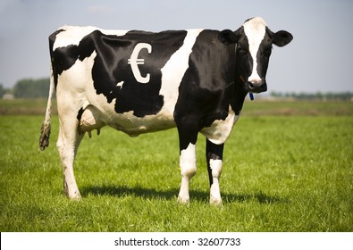 Cash Cow