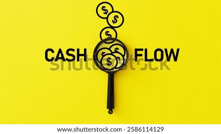 Cash Flow Control is shown using a text