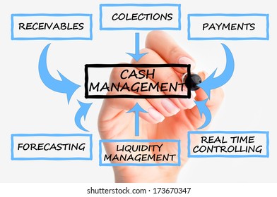 Cash Flow Management System