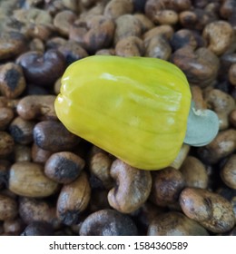 Cashew Factory Processing In Thailand