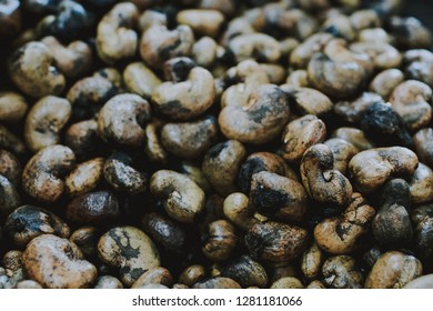 Cashew Factory In Thailand