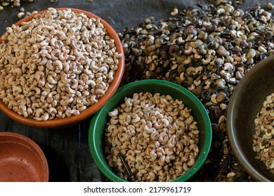 Cashew Kernel Separated From Shell In Processing Factory. Used Selective Focus.