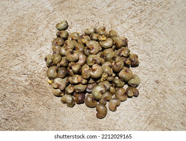 Cashew Nut , Anacardium Occidentale