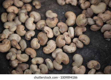 Cashew Nuts In Shell - Cashew Roasting, Traditional African Cooking In The Gambia