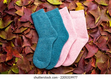 Cashmere Socks On Maple Leaf Background