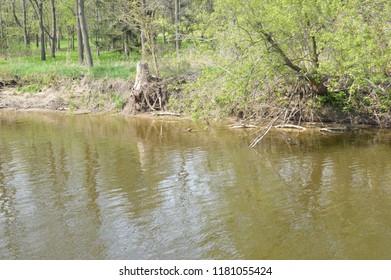 Cass River In Frankenmuth, MI