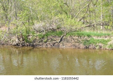 Cass River In Frankenmuth, MI