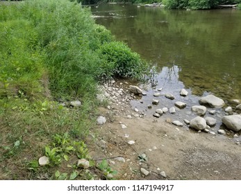 Cass River Rocks