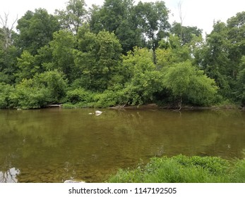 Cass River Vassar Michigan 