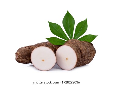Cassava and cassava leaf isolated on a white background