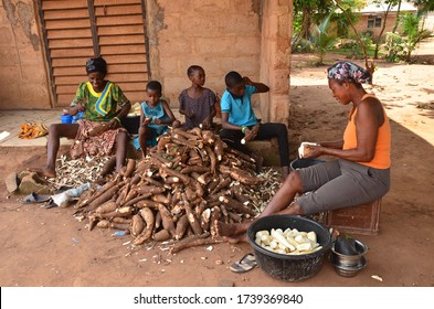 Cassava Processing Into Cassava Flour Which Can Be Use To Make Different Food In Africa. 14th May 2020 Nigeria West Africa