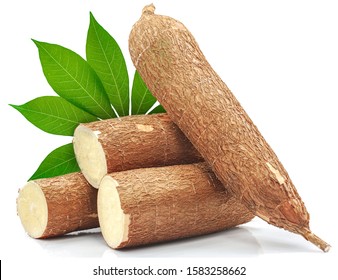 Cassava root isolated on white background 