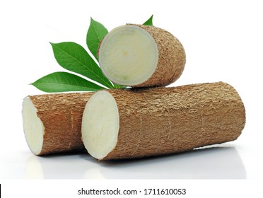 Cassava root isolated on white background