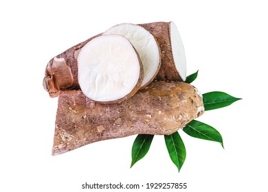 cassava tubers fresh on leaves isolated white, pile cassava manioc in top view, yucca root for flour products, raw materials for tapioca starch industry, tubers tapioca or manioc root, rhizomes manioc - Shutterstock ID 1929257855